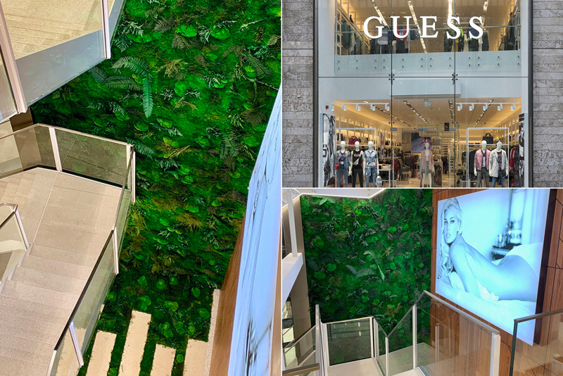 parete verde guess amsterdam
