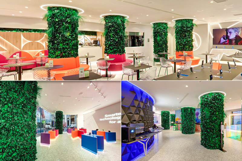 lenovo-colonne-edera-stabilizzata