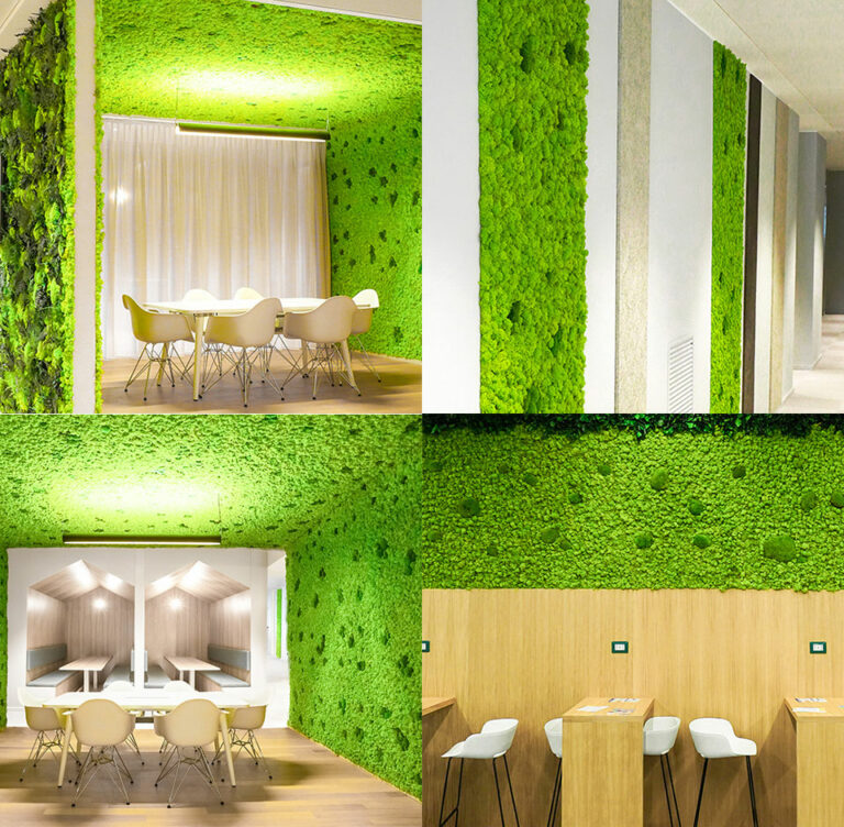 Muschio stabilizzato piatto - SHEET - BY NATURE - per giardino verticale / per quadro vegetale