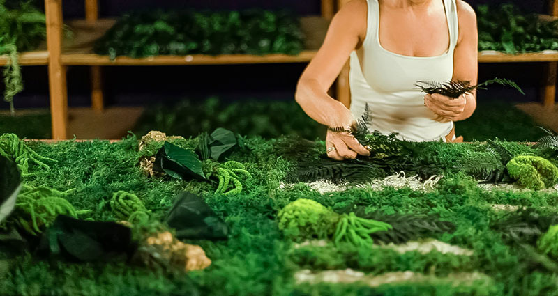 Verde stabilizzato, la natura sorprende