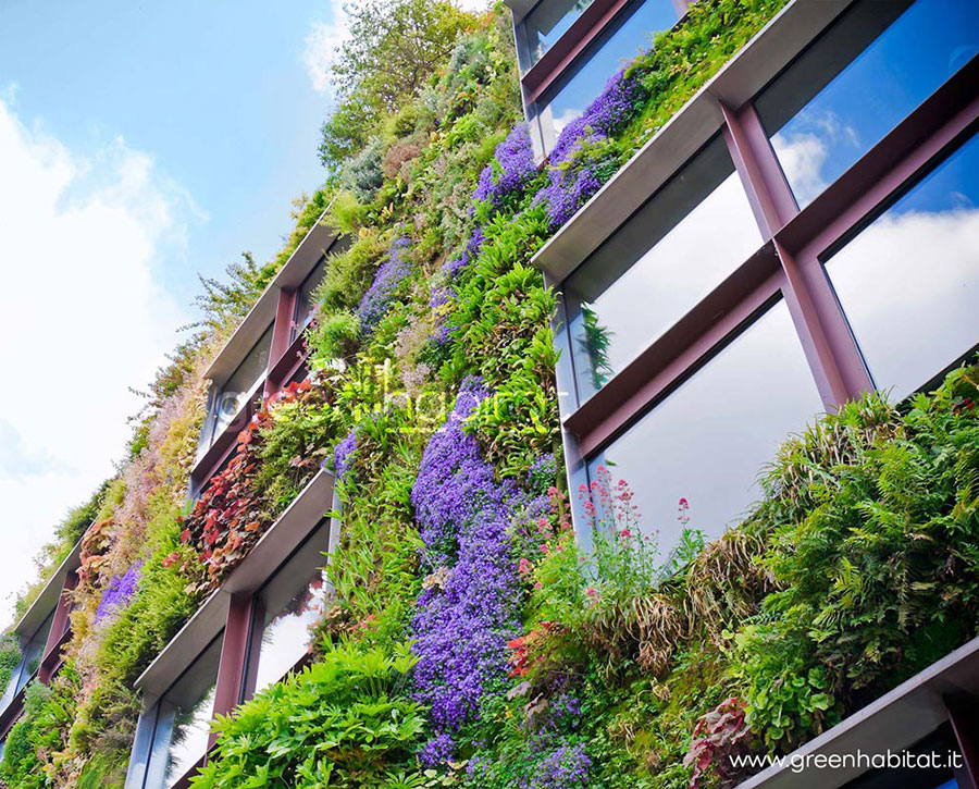 Giardino verticale: la soluzione ideale per il verde urbano