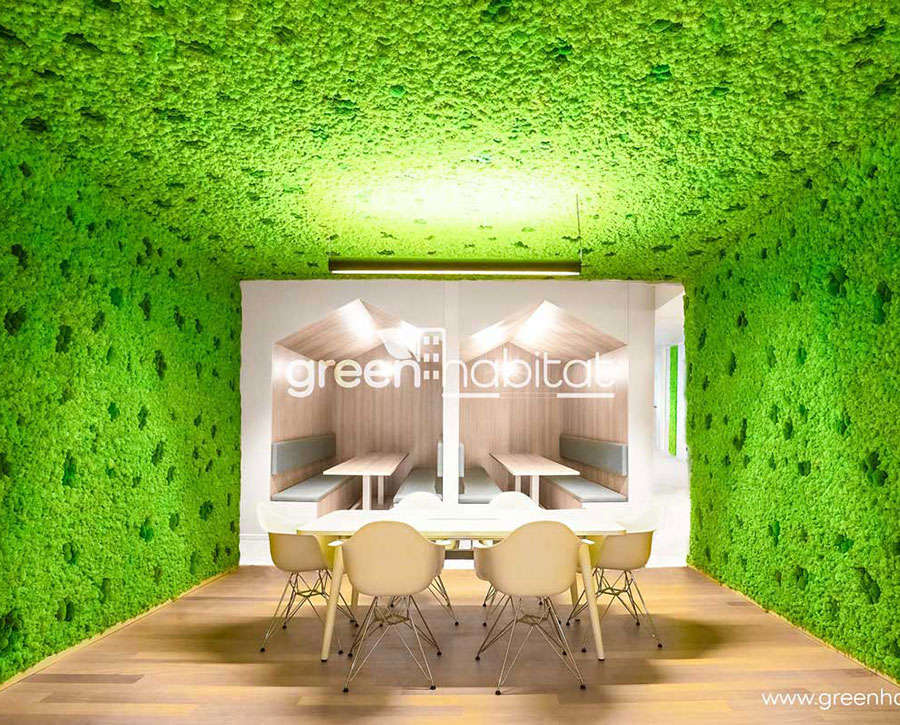 Verde verticale. Design & Natura per i nuovi progetti di interni. - a l b e  r t o 4 h o u s e