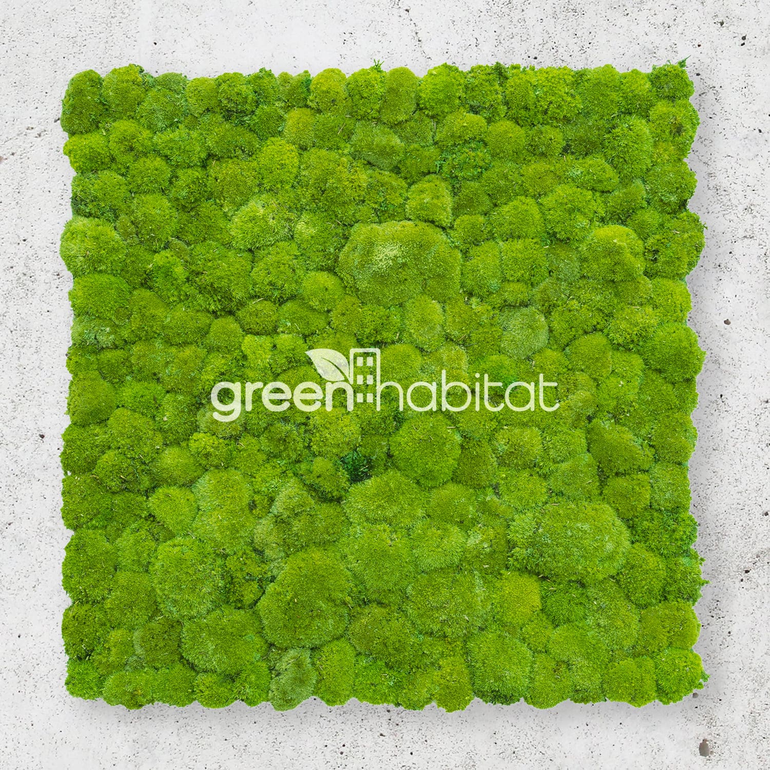Texture tridimensionale sferica del muschio stabilizzato ad alta resa tattile per hospitality