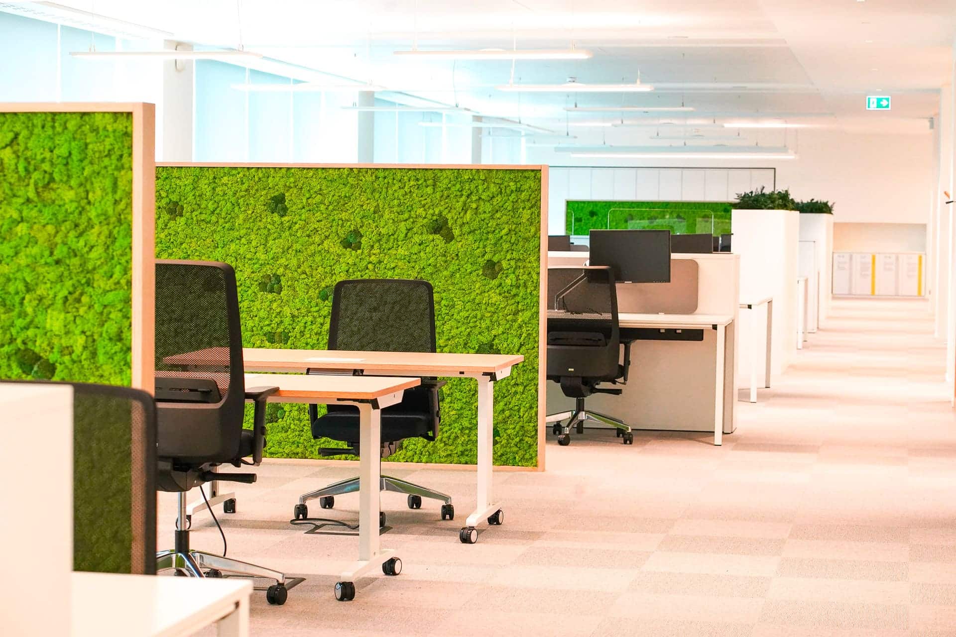 Natural sound insulation and biophilic design in open spaces
