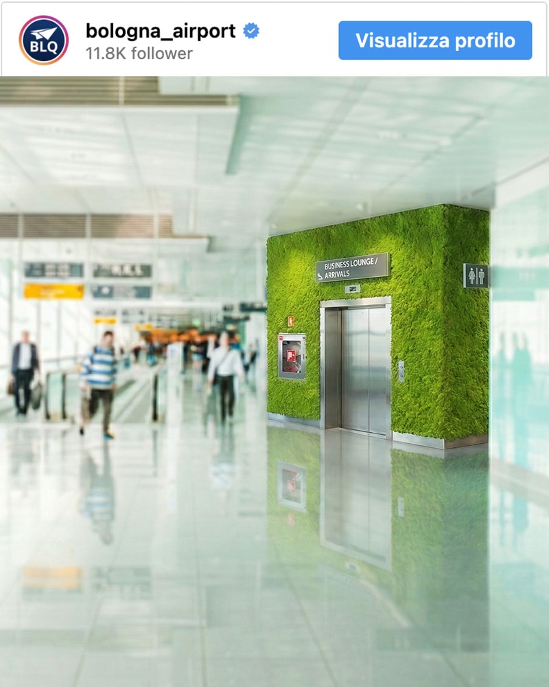 Pannelli divisori in verde stabilizzato per le aree di transito dell'Aeroporto di Bologna