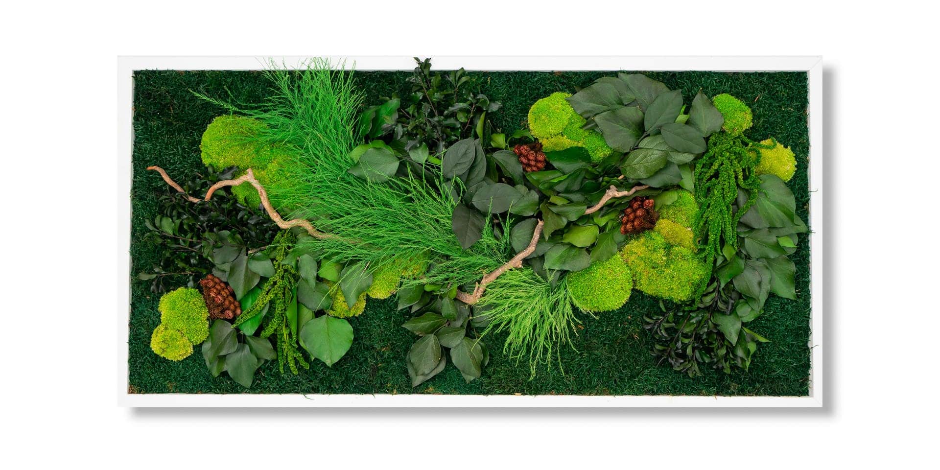 Mixed preserved vegetation picture in forest style for executive office without light