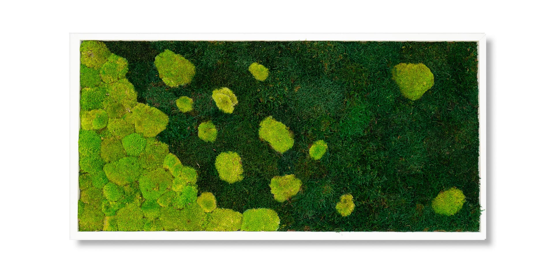 Artistic picture in three-dimensional sound-absorbing preserved Polemoss