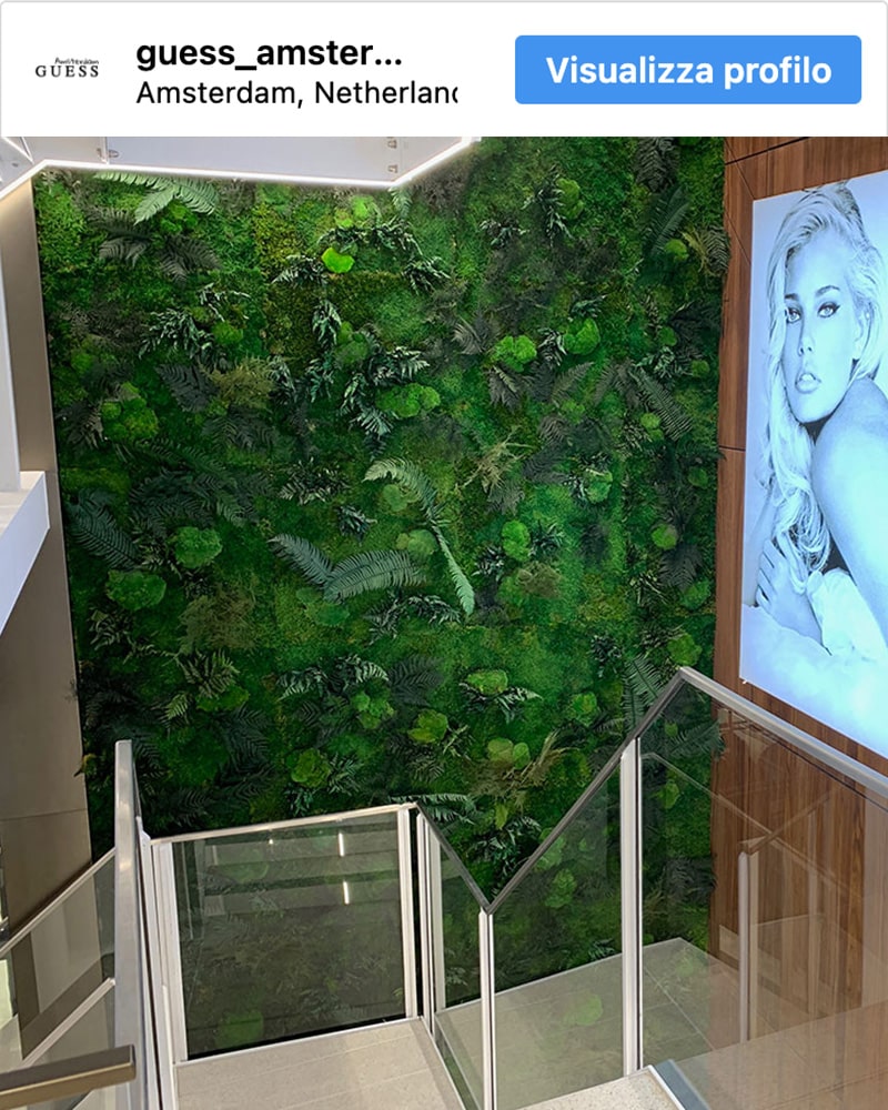 Parete verde stabilizzata che si estende a tutta altezza seguendo la scala del Guess Store di Amsterdam