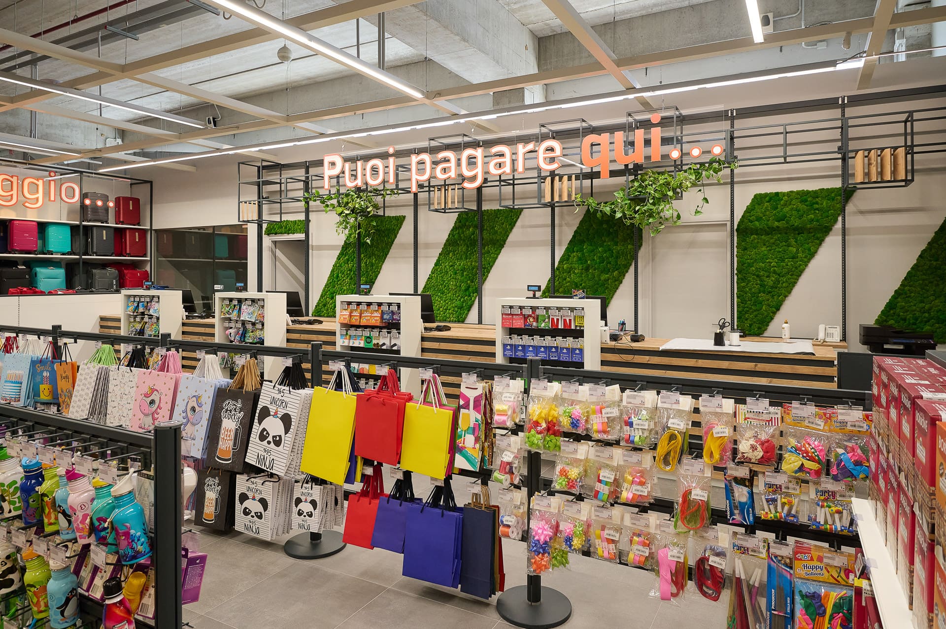 Verde indoor zona esposizione TV Expert